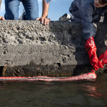 Con cabello humano descontaminan aguas de Chile