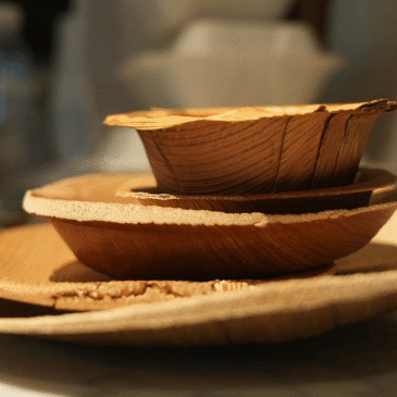 Green Depot: la empresa que usa hojas de palma para producir envases biodegradables