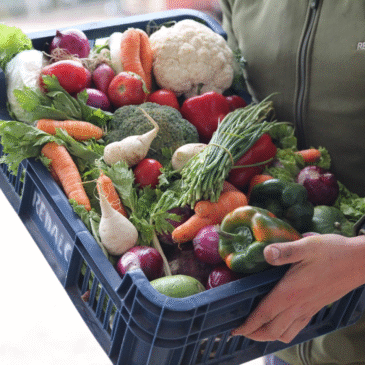 Donde otros ven descarte, Redalco ve comida