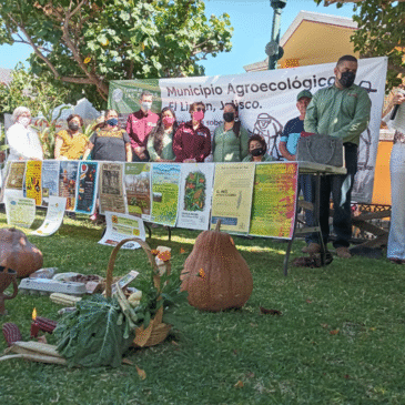 Un pueblo de México le dijo no a los pesticidas