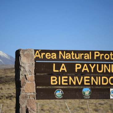 Mendoza suma 40 mil hectáreas protegidas