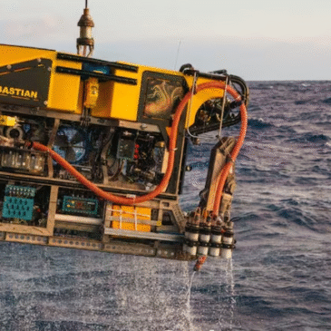 El streaming del CONICET desde el fondo del océano: una ventana al desconocido mundo marino