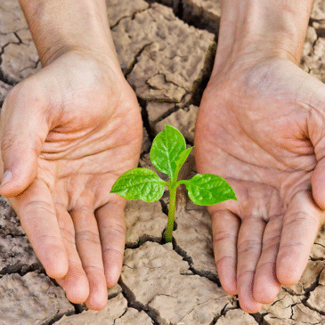 No es ficción: México hace llover sin nubes