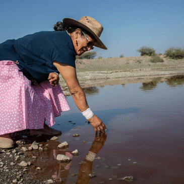 Oaxaca tiene un truco contra la sequía