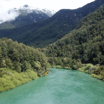 En Chile los ríos ya no están solos: Ngenko los defiende