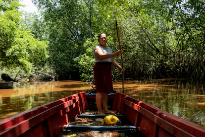 Mujeres que devuelven la vida a los manglares de Guatemala