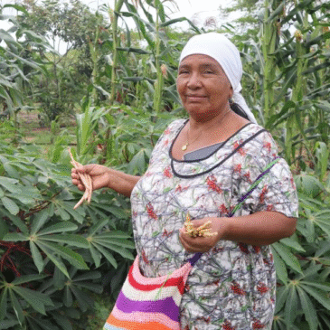 Así sobreviven las mujeres Wayúu en pleno desierto