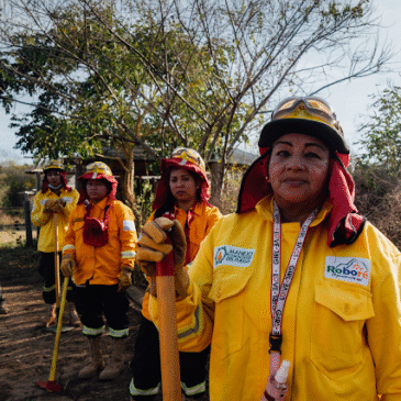 El doble frente de la Chiquitanía: el escuadrón de bomberas y sembradoras que salva el bosque boliviano