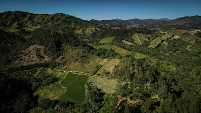 El milagro ecológico del Caribe: República Dominicana reverdece una quinta parte de su territorio