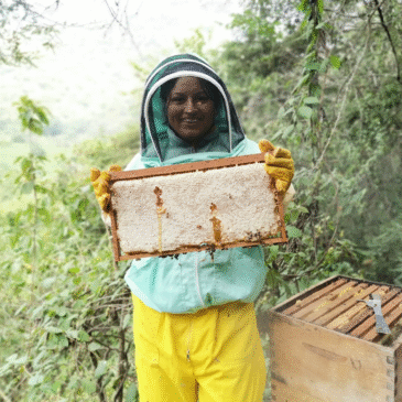 ¿Por qué todo el mundo habla de Ysabel y sus abejas?