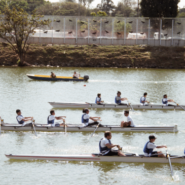 Remando hacia la inclusión: canotaje adaptado para niños con discapacidades en Brasil