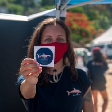 Amandocéano:  la ONG que le enseña a Puerto Rico a amar su mar