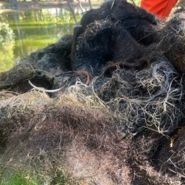 Petropelo: cuando un corte de cabello puede limpiar un río