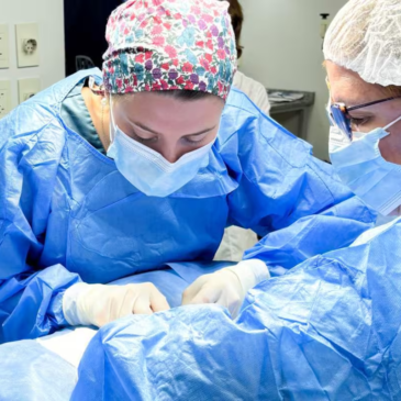 Amnova Biotech: la startup argentina que busca reparar el corazón donde la medicina tradicional no llega 